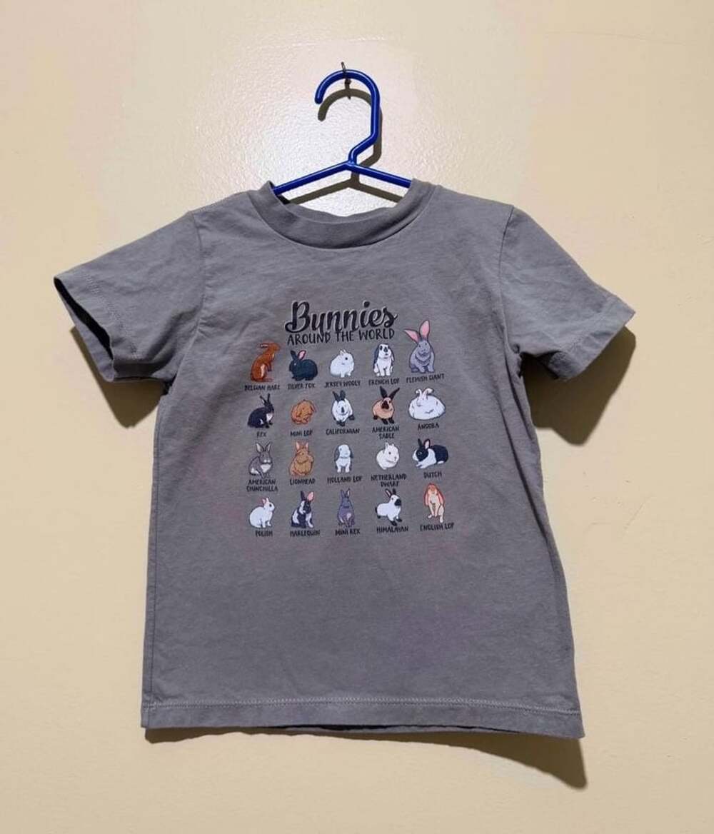 Port & Company Bunnies Around The World T-Shirt Size 3T Gray